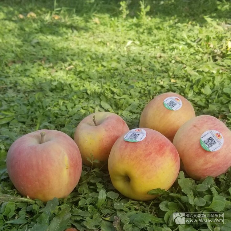 悉心打造“中国好果园”来自阿克苏地区特色林果产业的发展报告