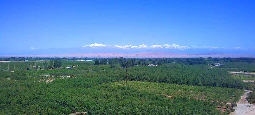 万亩果源阿克苏冰糖心苹果种植基地