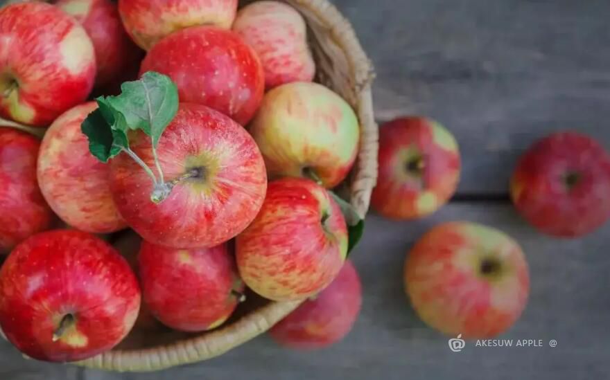 苹果着色不均匀的原因及其应对措施