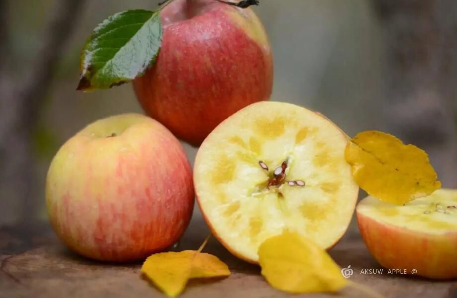 新疆阿克苏苹果为什么那么甜？