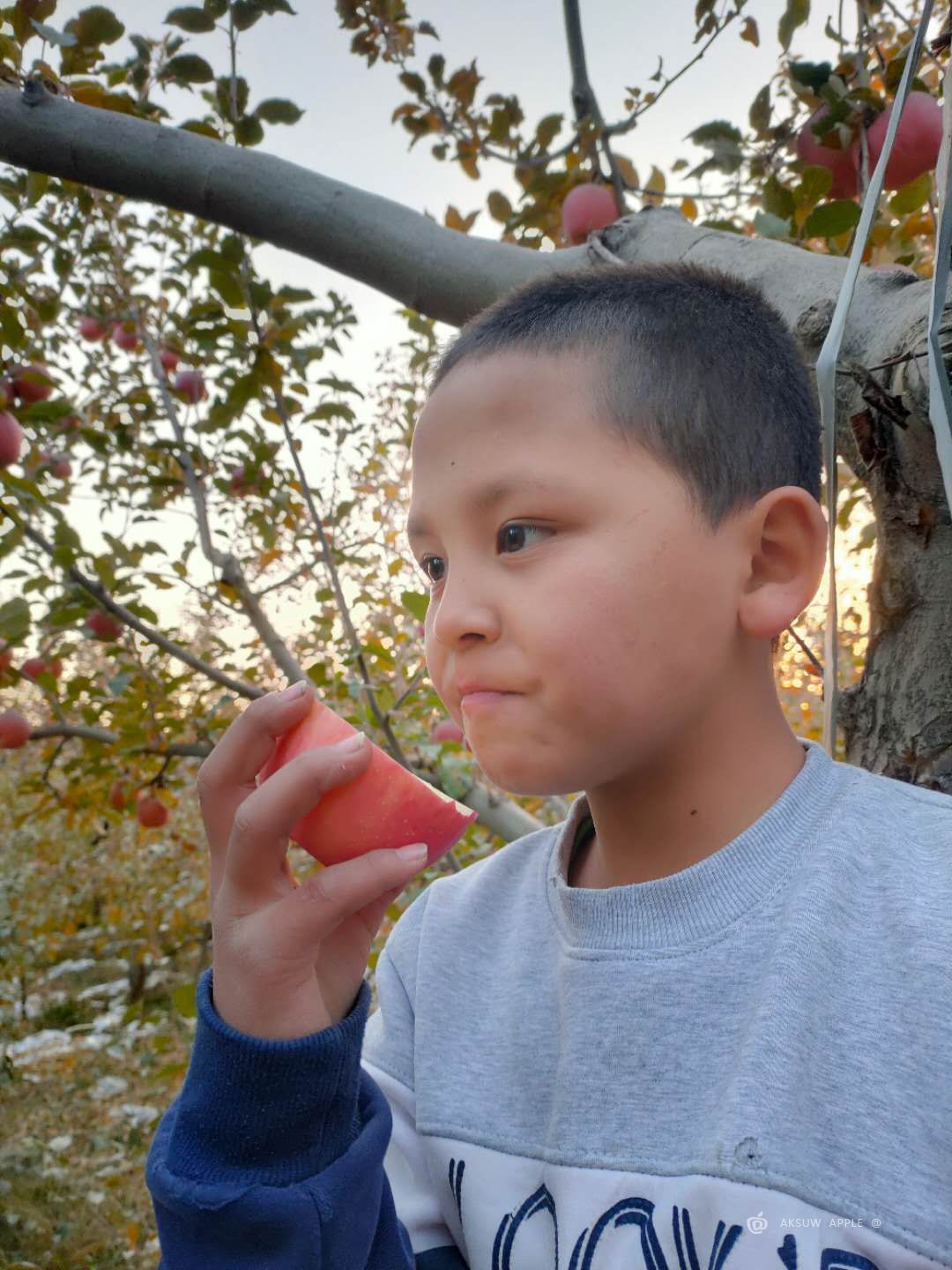 新疆小朋友吃阿克苏苹果
